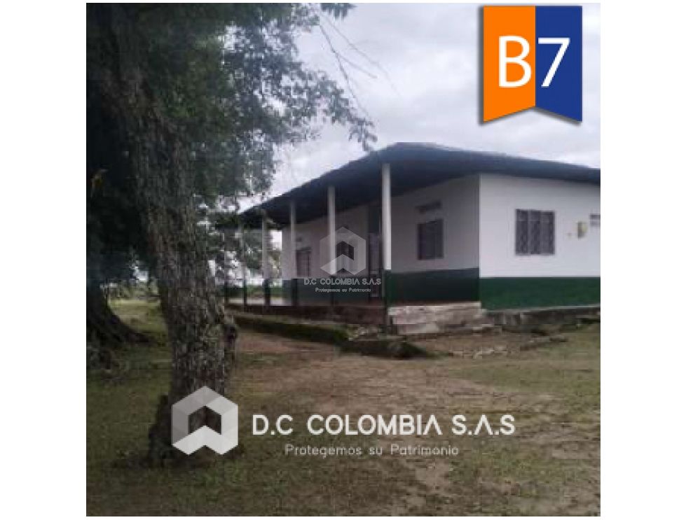 FINCA EN VENTA EN LA VEREDA PAPACALÁ EN SALDAÑA TOLIMA